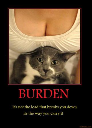burdenA.jpg